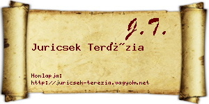 Juricsek Terézia névjegykártya