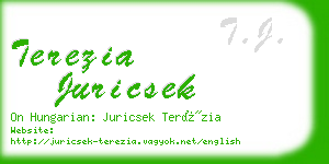 terezia juricsek business card